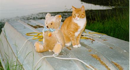 Teddy, John, Cat