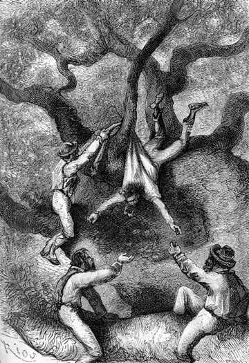 Paganel appeared, tumbling down from branch to branch