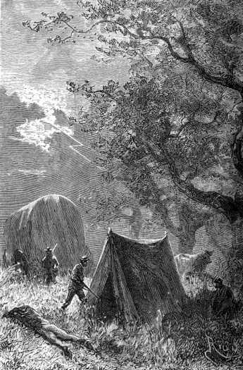 Bright flashes of lightning … illuminated the horizon