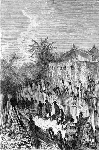 Lord Glenarvan and his companions arrived inside the pā