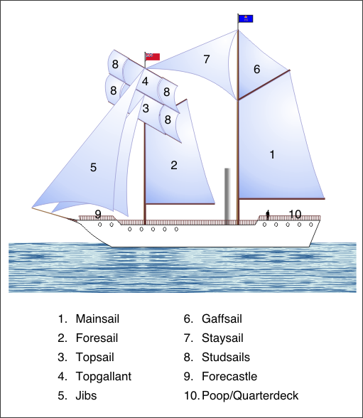 The Duncan