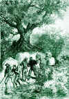15cap_41.jpg (247788 bytes)