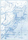 cab_16.jpg (177754 bytes)