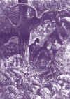 fran31.jpg (185617 bytes)