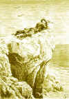 ser_14.jpg (202587 bytes)