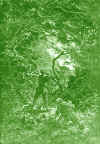 szro36.jpg (211031 bytes)